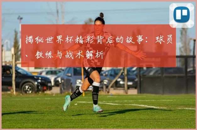 揭秘世界杯精彩背后的故事：球员、教练与战术解析